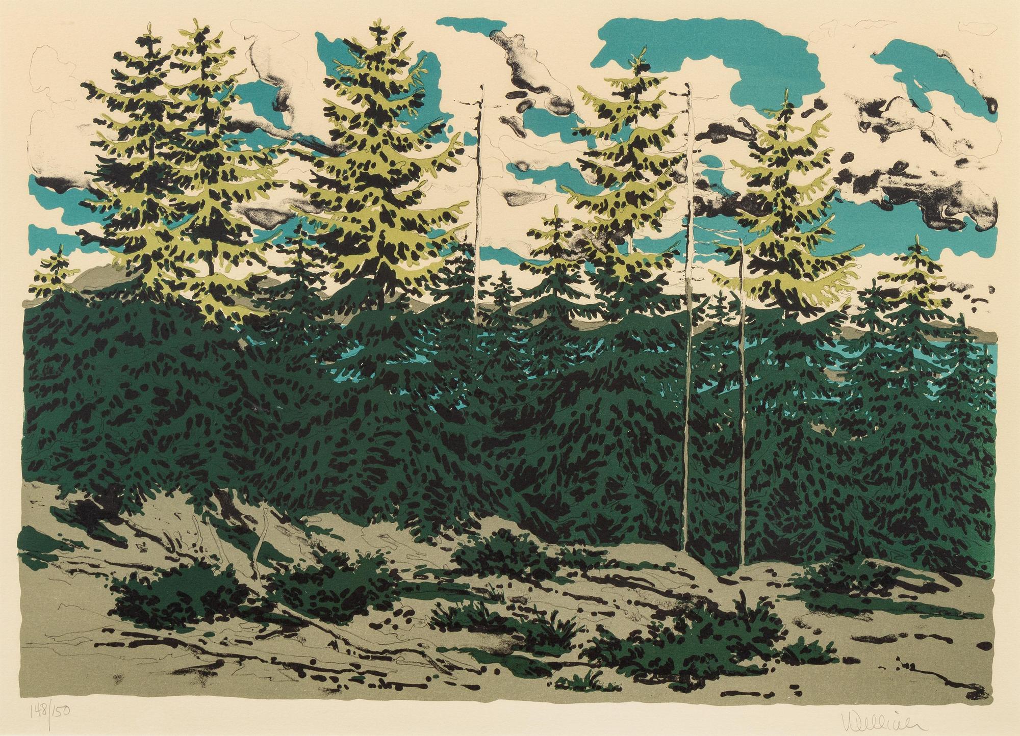 Maine Landscape