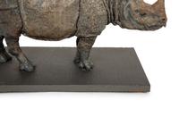 Rhinoceros