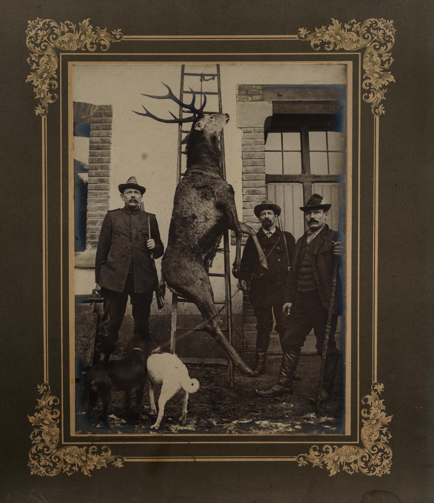 Nine Antique Occupational Photographs