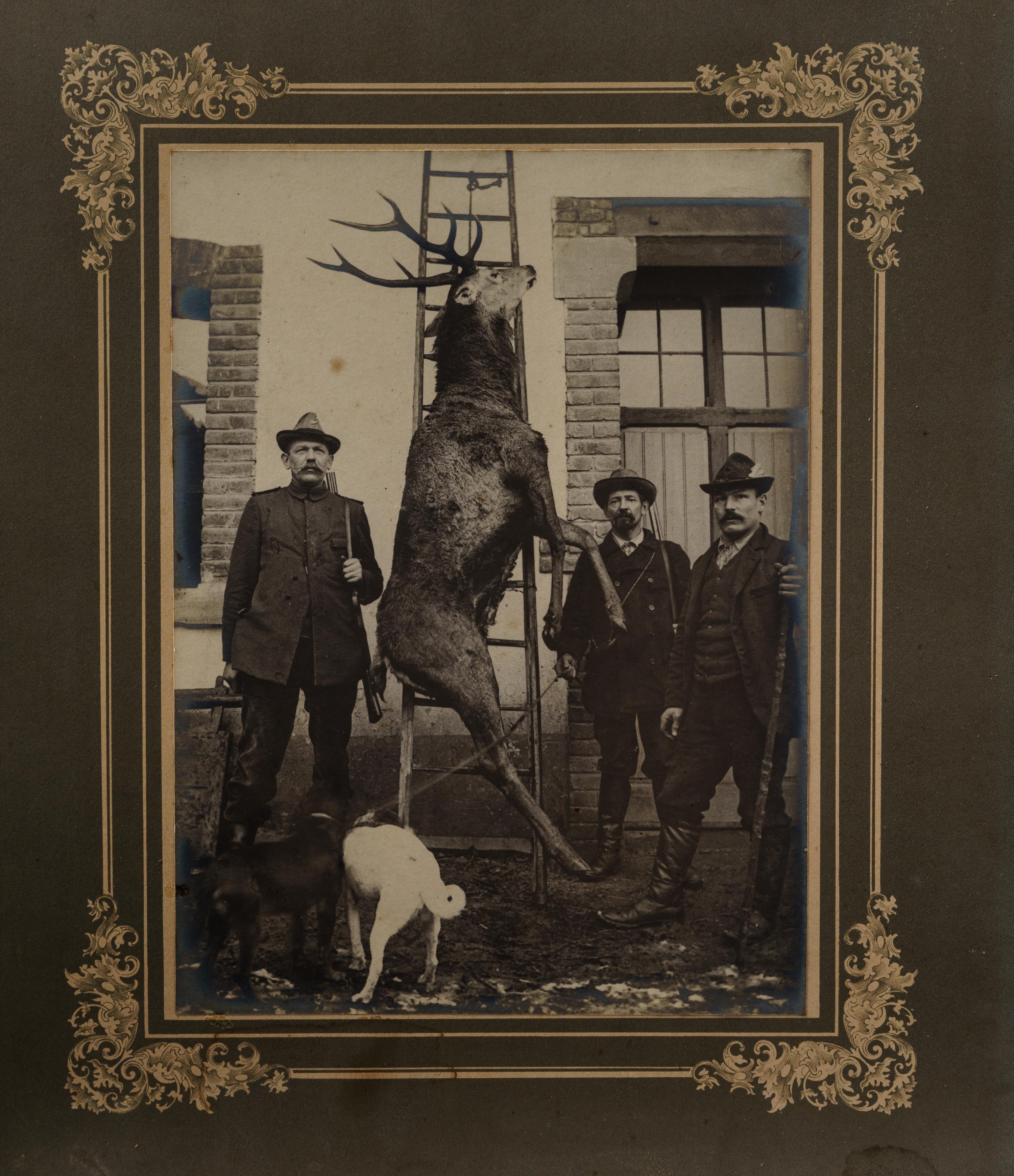 Nine Antique Occupational Photographs