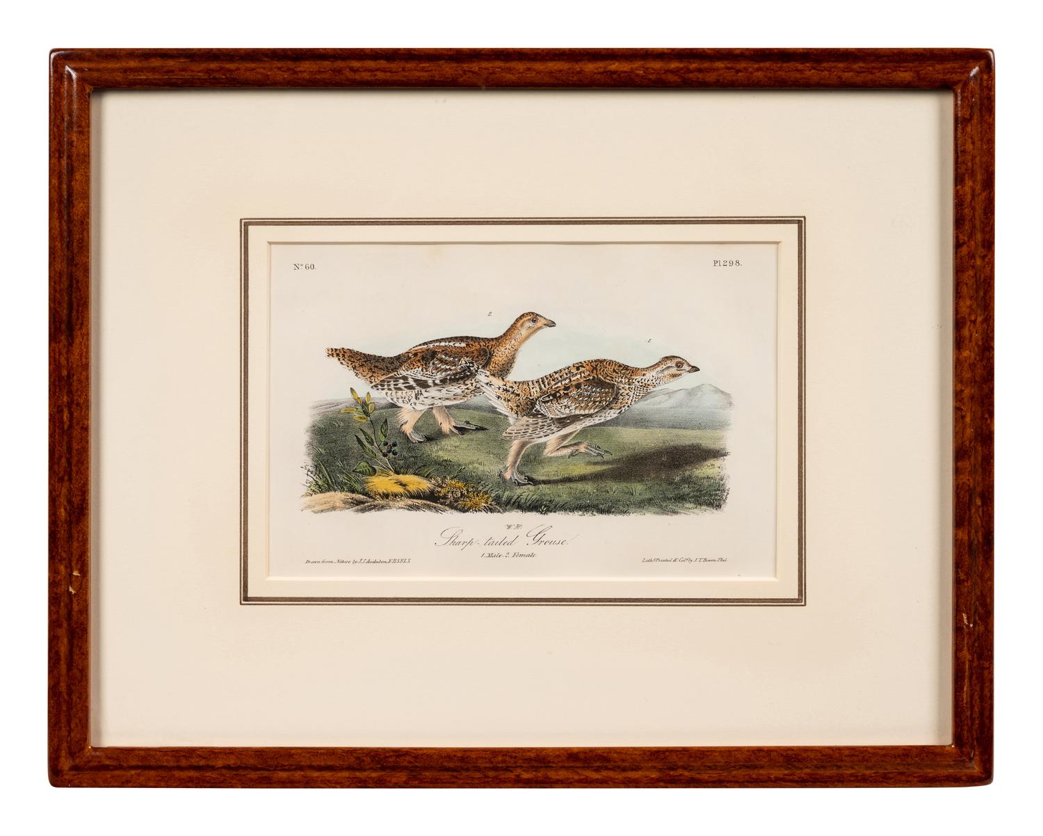 Grouped, see item 1 | A Group of Four Prints of Ground Fowl and Woodpeckers, after John James Audubon (1785-1851)