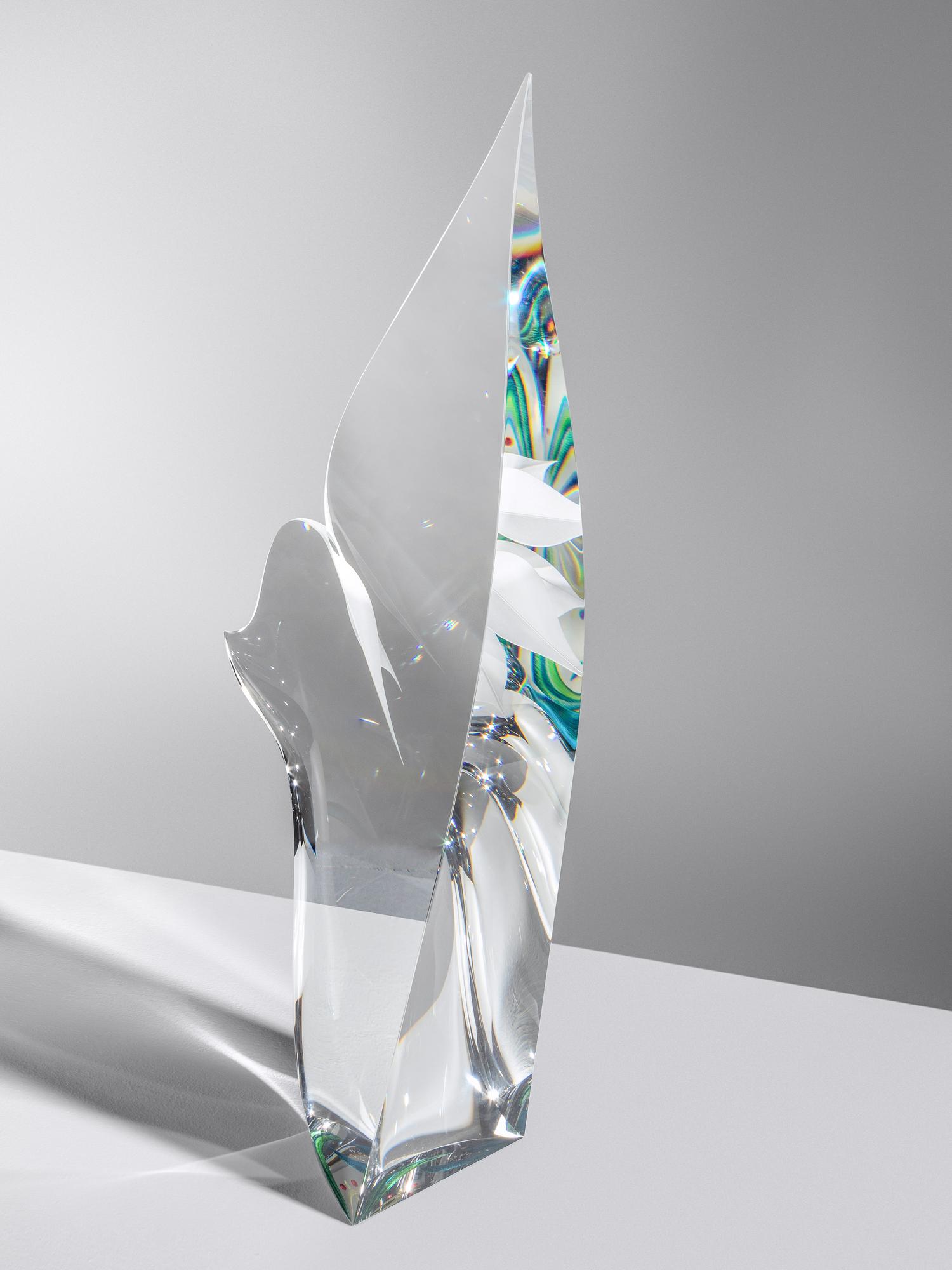 Desert Flower , 2012