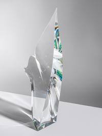 Desert Flower , 2012