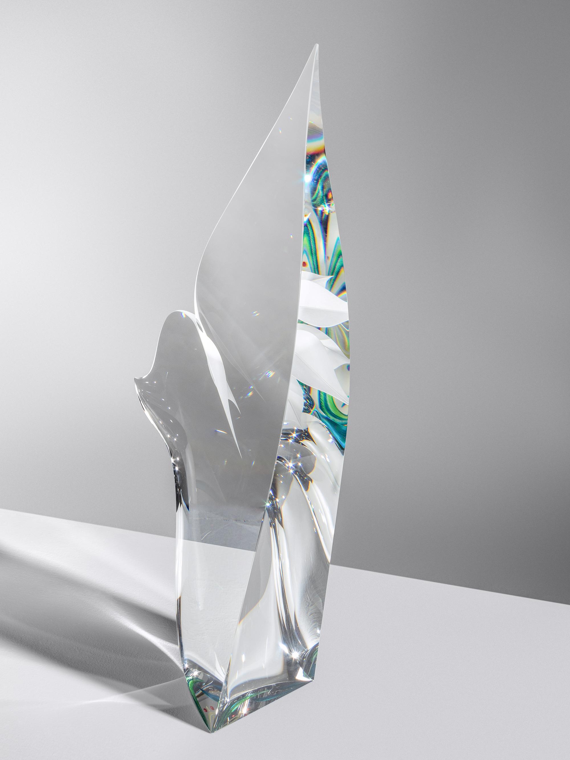 Desert Flower , 2012