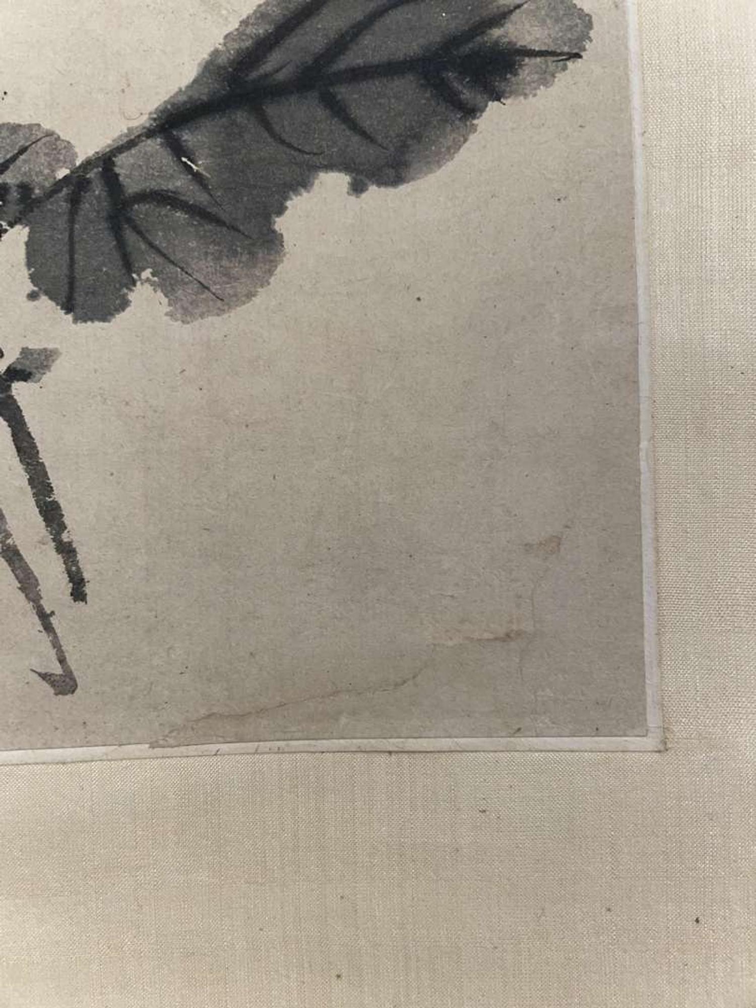 Chen Zun 陈遵 菊图 (Chinese)