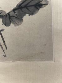 Chen Zun 陈遵 菊图 (Chinese)