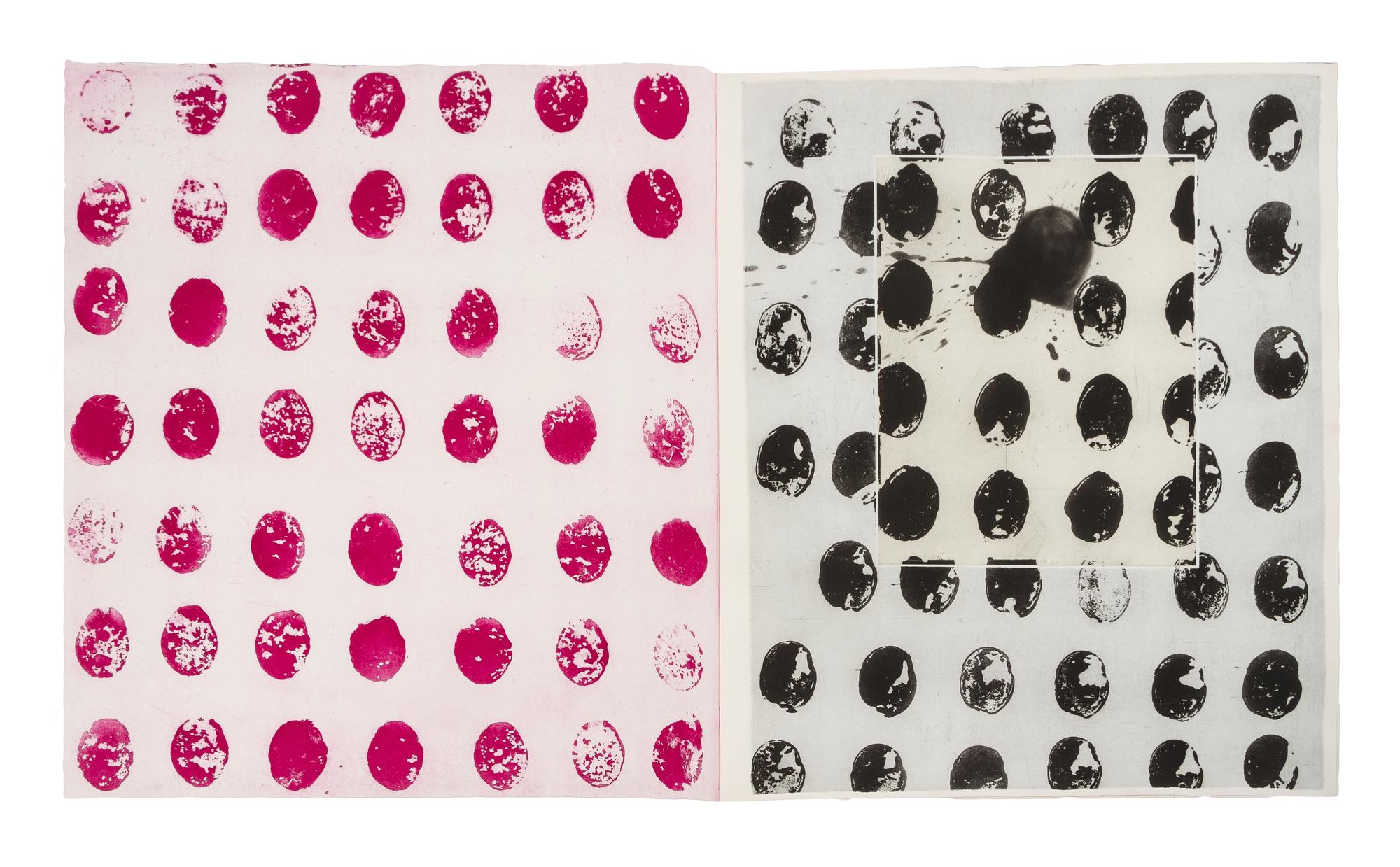 James Brown, (American, 1951), Salt Notes (bound book of 8 etchings, 14 lithographs, and 3 drawings)
