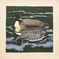 Loon, 1988