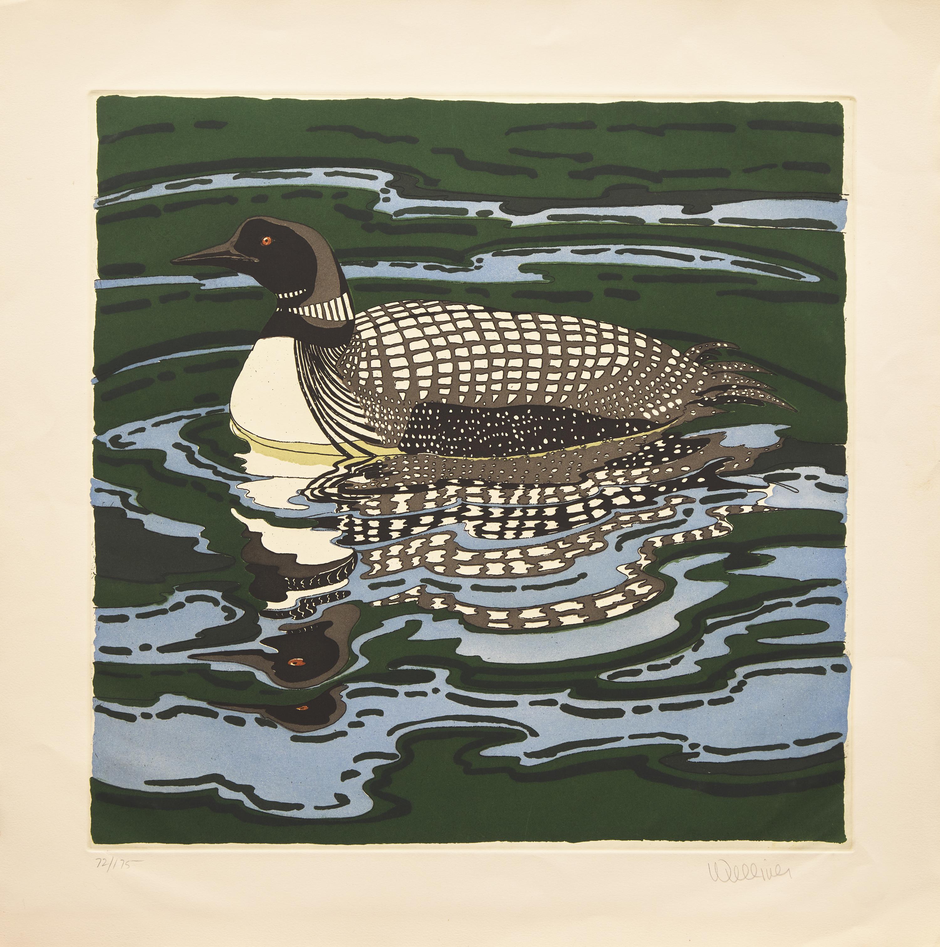 Loon, 1988