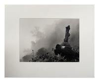 Sebastião Salgado (born 1944) Ubumbwe (Silverback mountain gorilla – leader of the Amahoro group) in Mist over the Forest of the Bisoke Volcano, Rwanda, from "Genesis," 2004