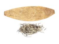 Plains Quill Container