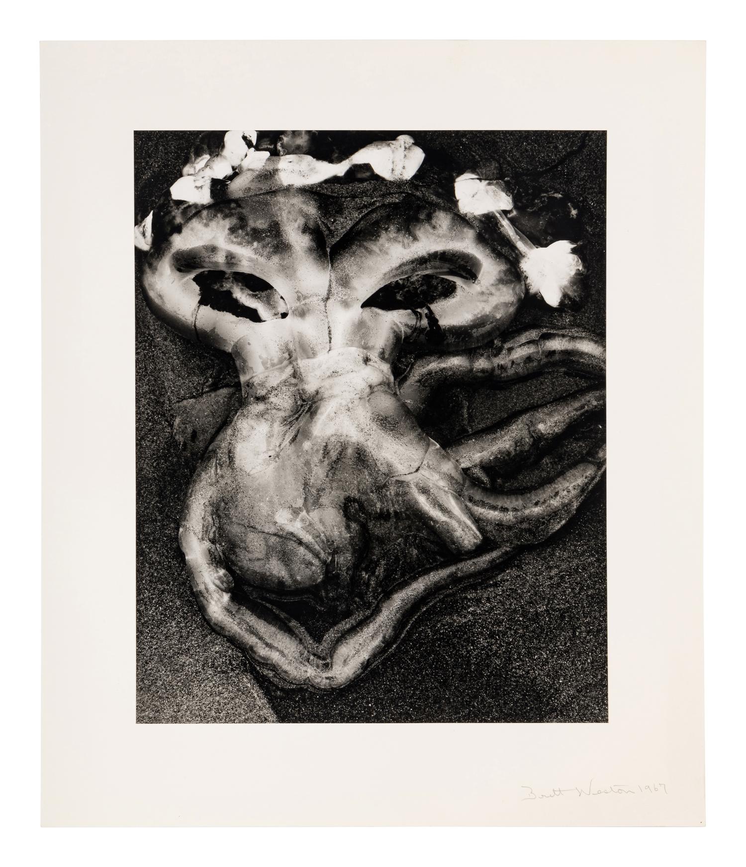Brett Weston (1911-1993) Jellyfish, 1967