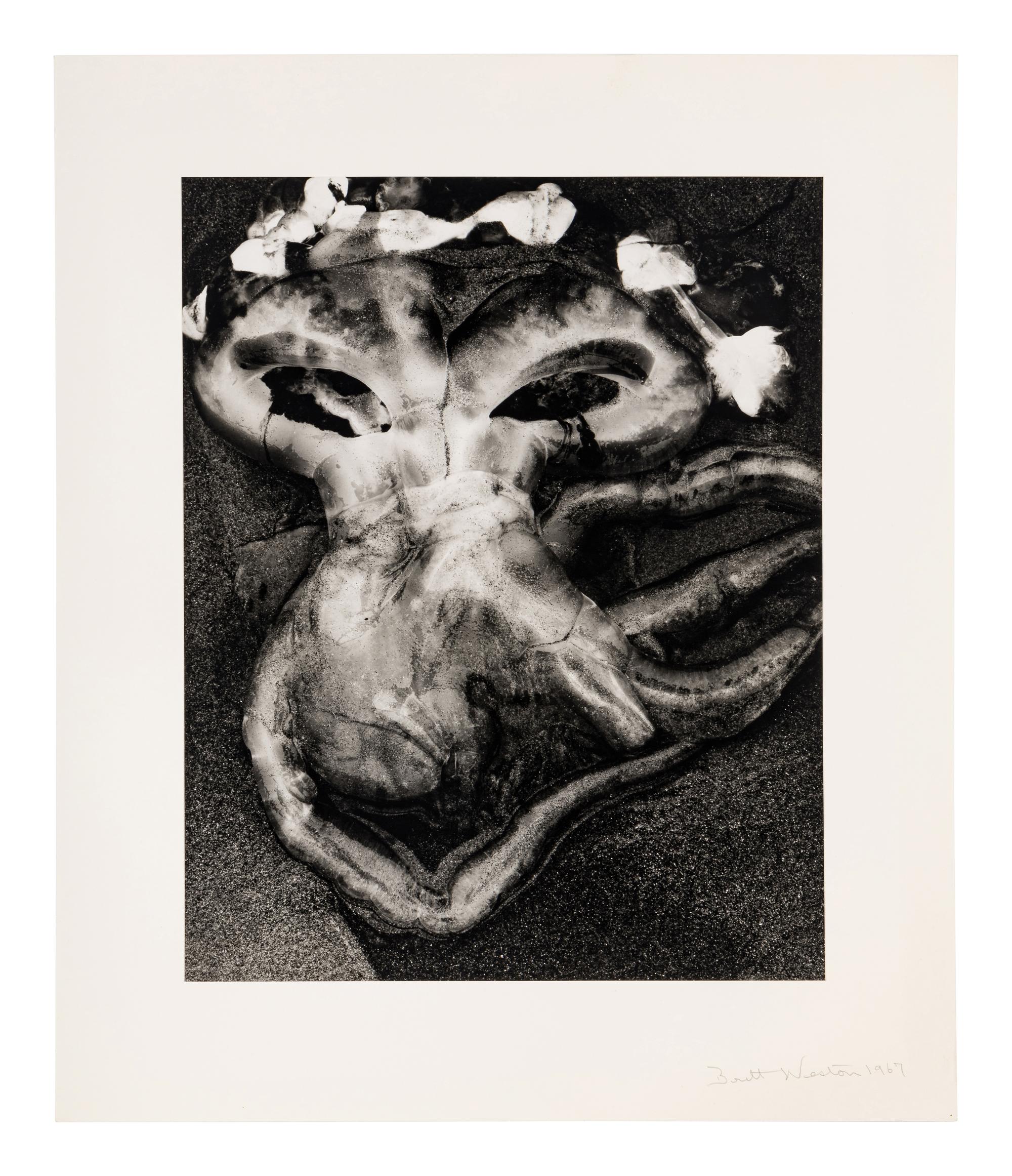 Brett Weston (1911-1993) Jellyfish, 1967