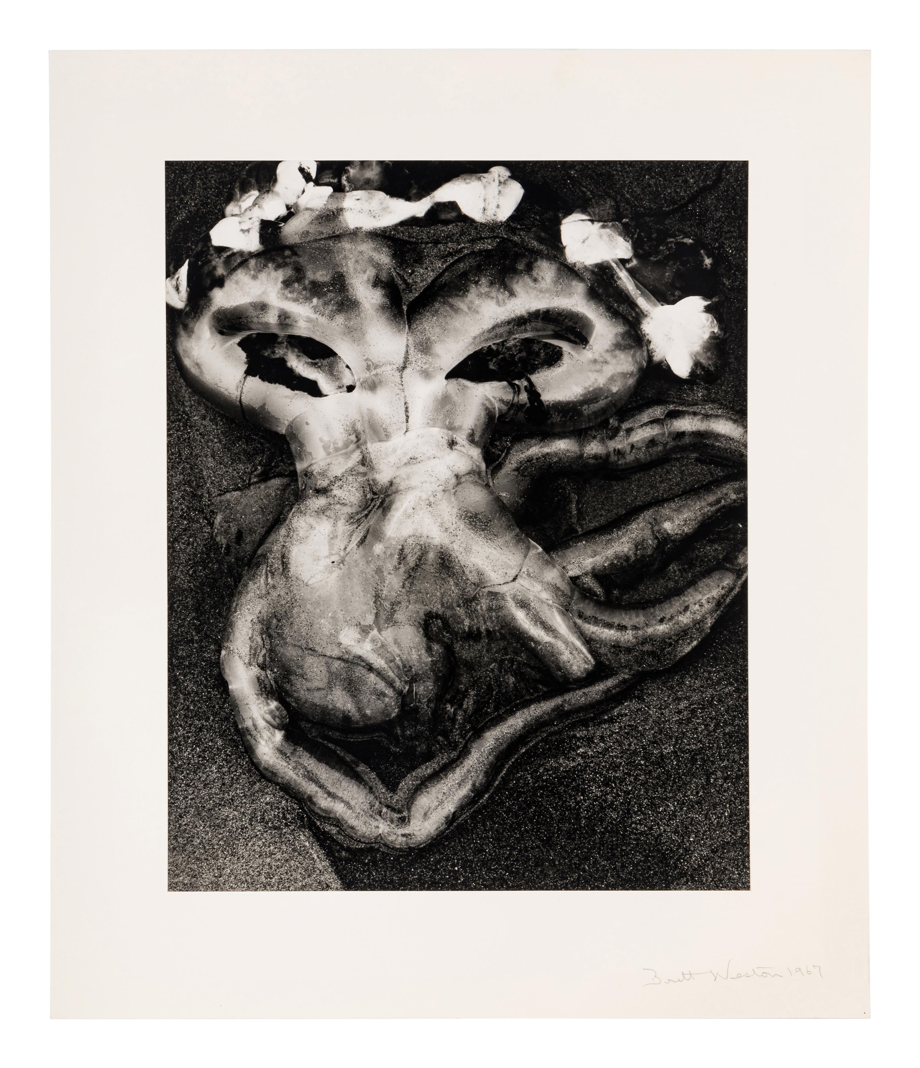 Brett Weston (1911-1993) Jellyfish, 1967