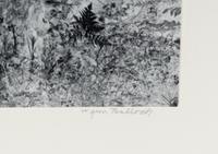 Untitled (Forest), 1970