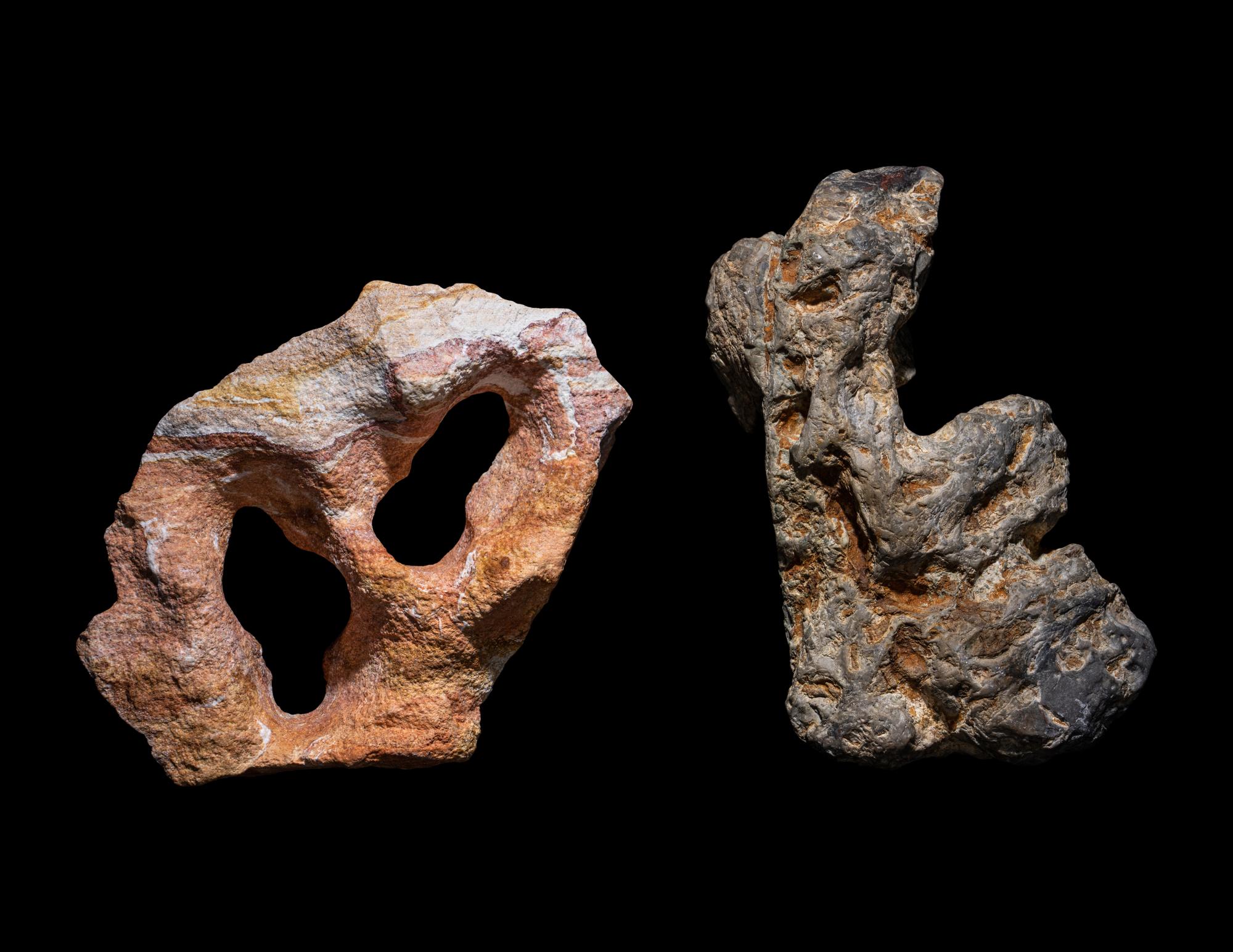 Two Chinese Scholar's Rocks