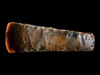 A Neolithic Flint Thin-Butted Axe