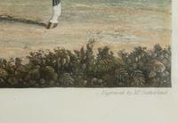 Two Color Engravings after J. F. Herring — 19TH/20TH CENTURY