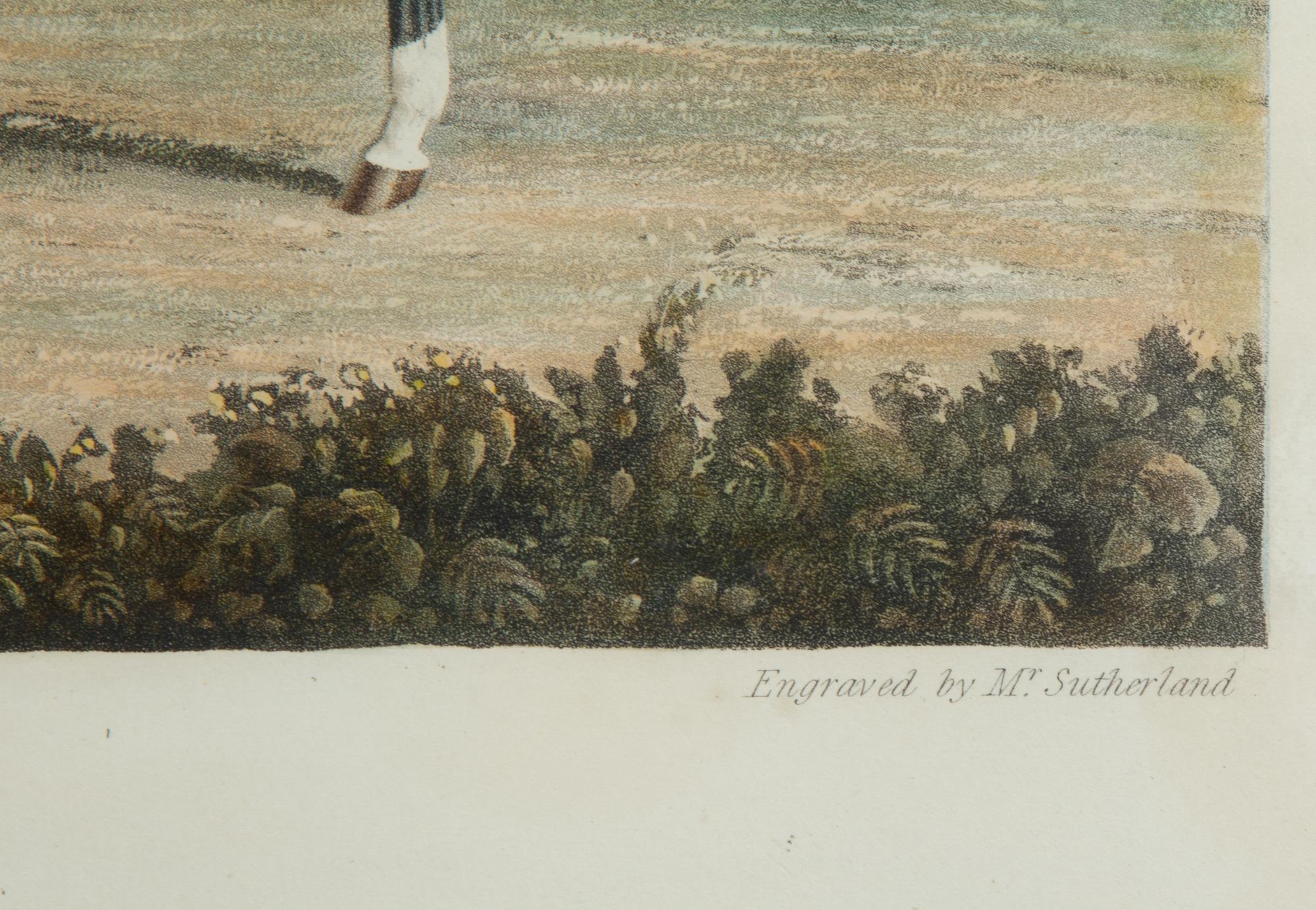 Two Color Engravings after J. F. Herring — 19TH/20TH CENTURY