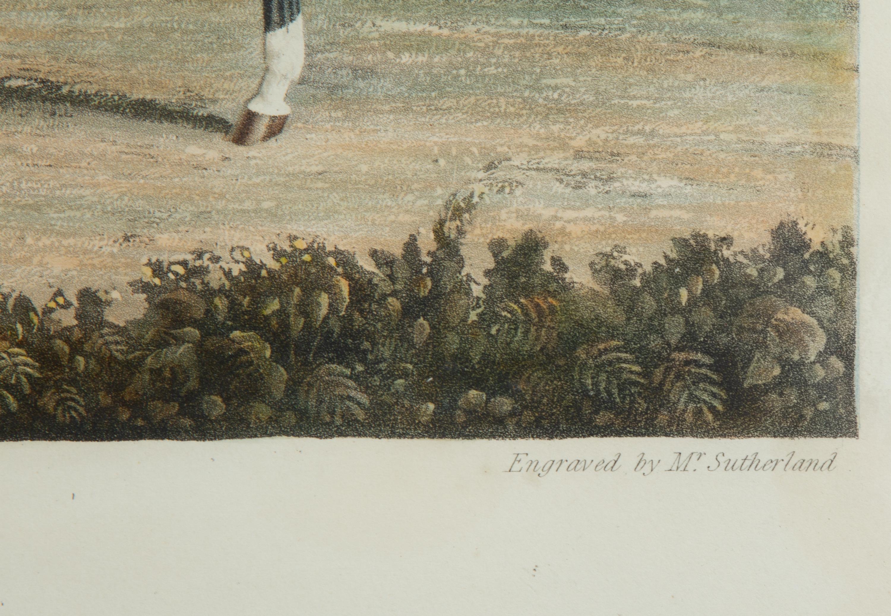 Two Color Engravings after J. F. Herring — 19TH/20TH CENTURY