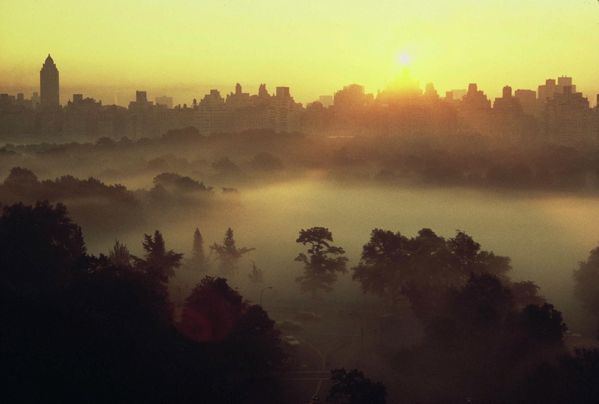 Ruth Orkin (1921-1985) Mist over Sheep Meadow, Central Park, 1971