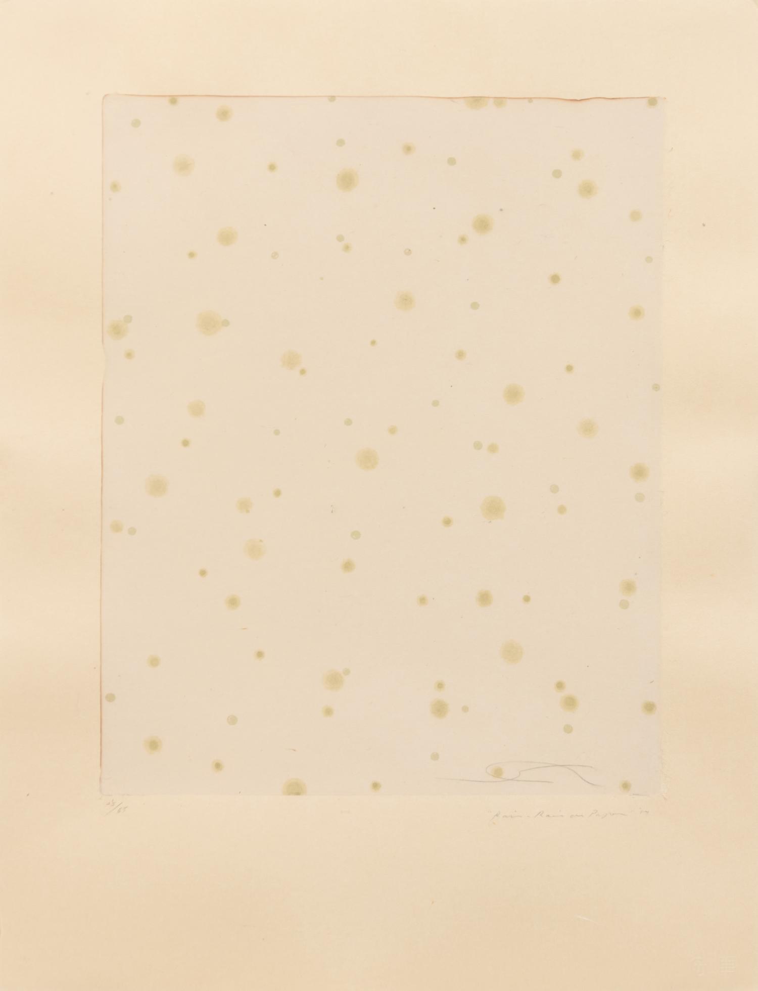 Flowers, Rain, Snow, and Wind - Rain on Paper