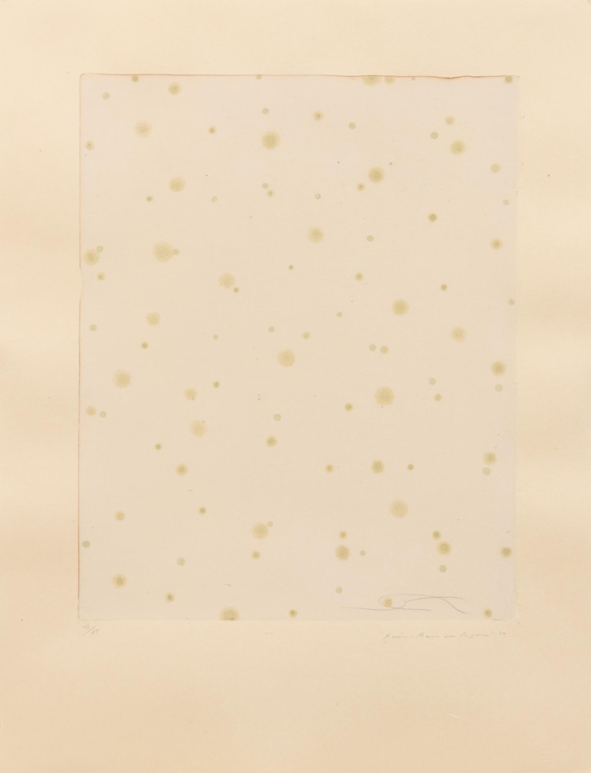 Flowers, Rain, Snow, and Wind - Rain on Paper