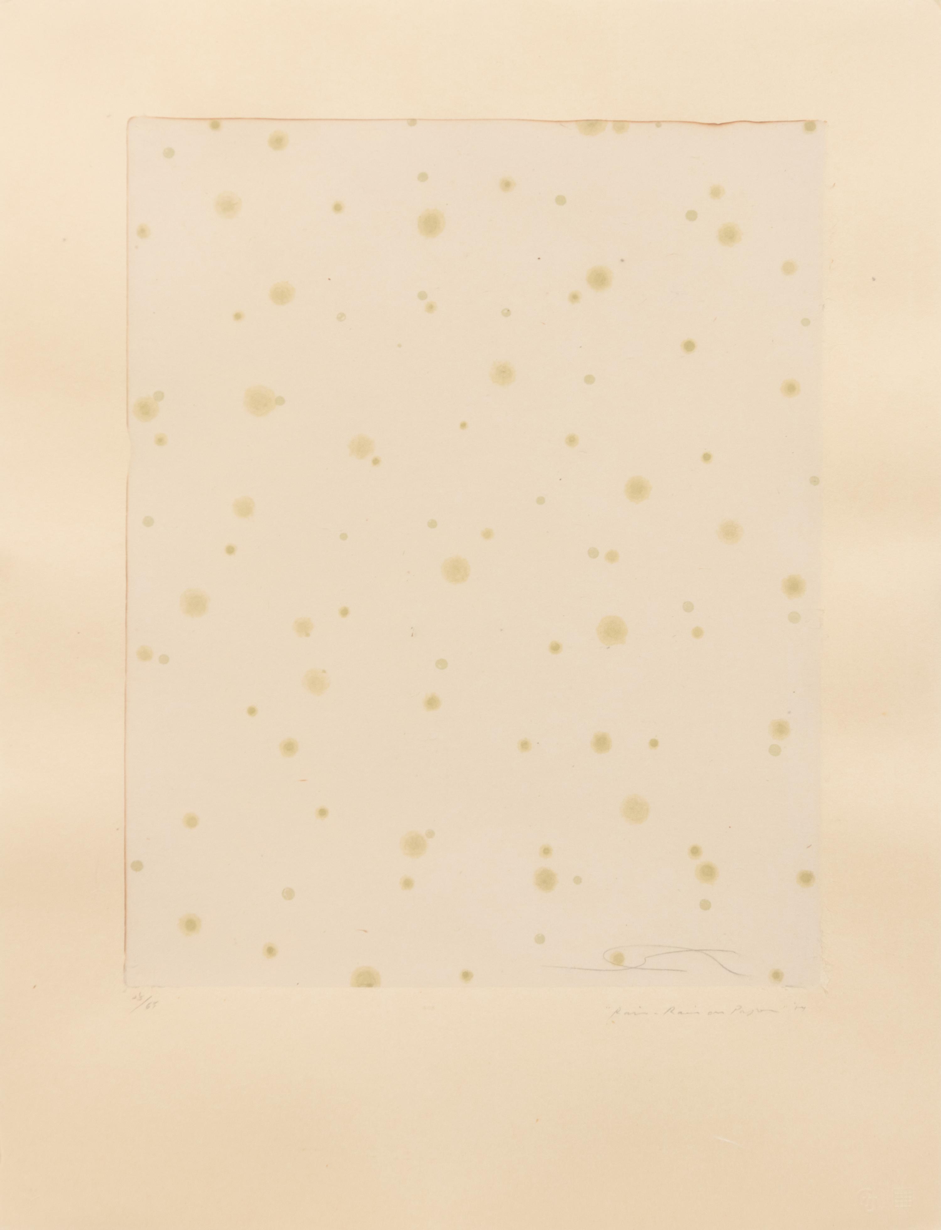 Flowers, Rain, Snow, and Wind - Rain on Paper