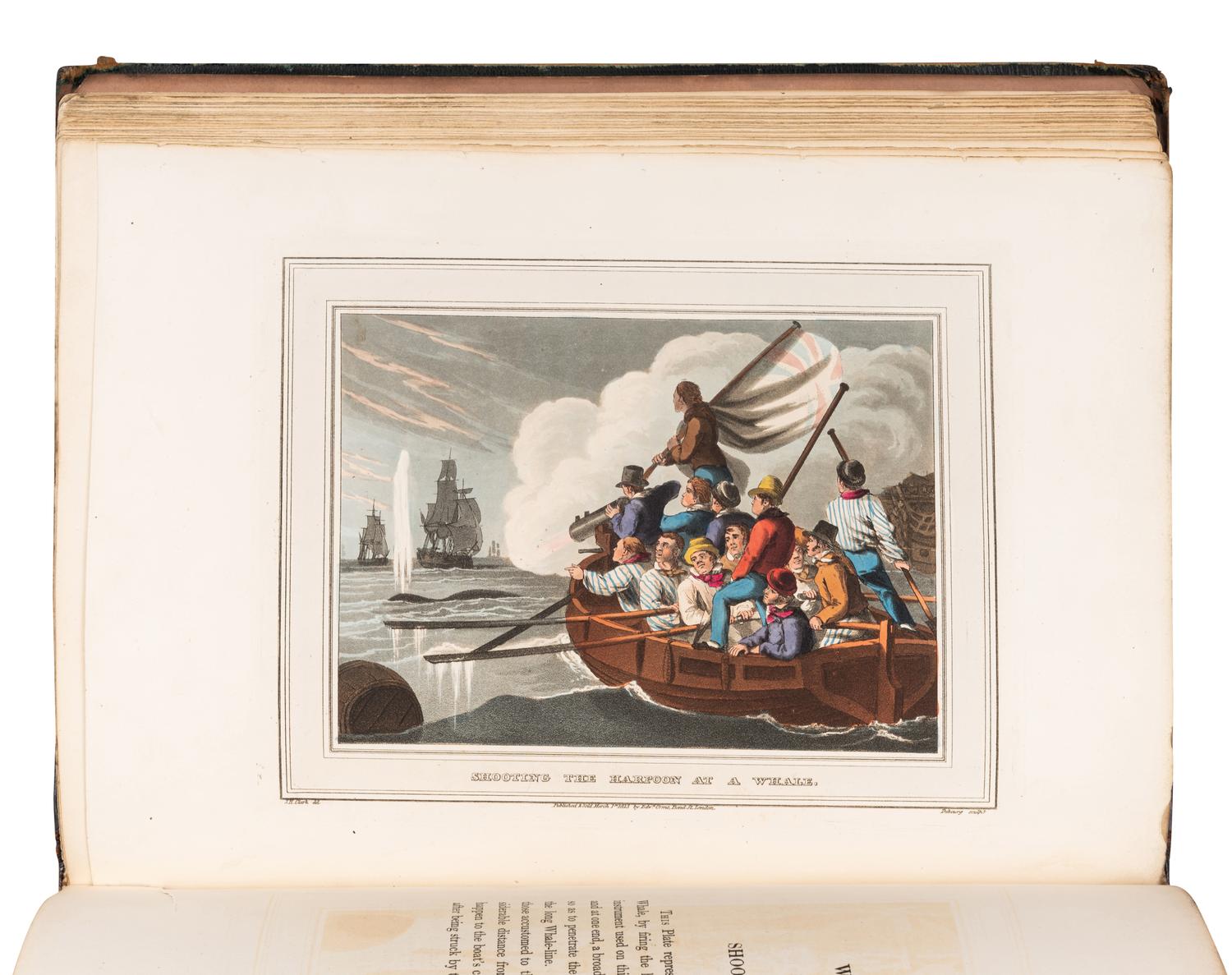 [FOREIGN FIELD SPORTS]. Foreign Field Sports, Fisheries, Sporting Anecdotes, &c. &c. From Drawings... with a Supplement of New South Wales . London: Edward Orme, n.d., plates watermarked 1823?.