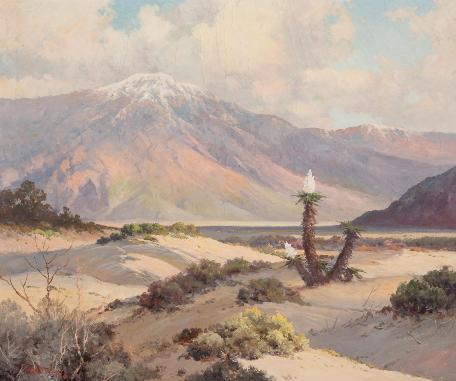 Desert Landscape