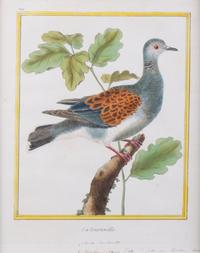 A Set of Four Hand-Colored Engravings After Francois Martinet — 18TH CENTURY