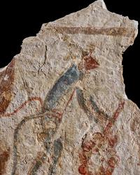 An Egyptian Painted Limestone Fragment