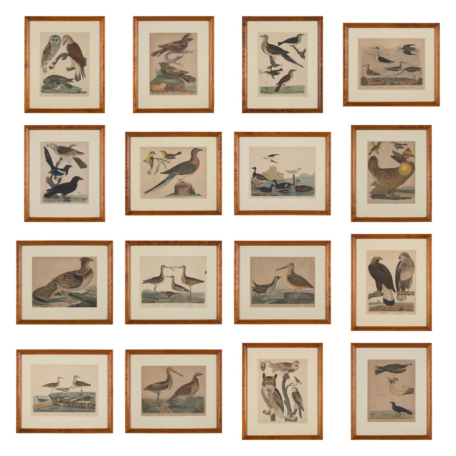 Alexander Lawson (1773-1846) and John G. Warnicke (died 1818), After Alexander Wilson (1766-1813), A Set of Sixteen Hand-Colored Engravings of Various Birds