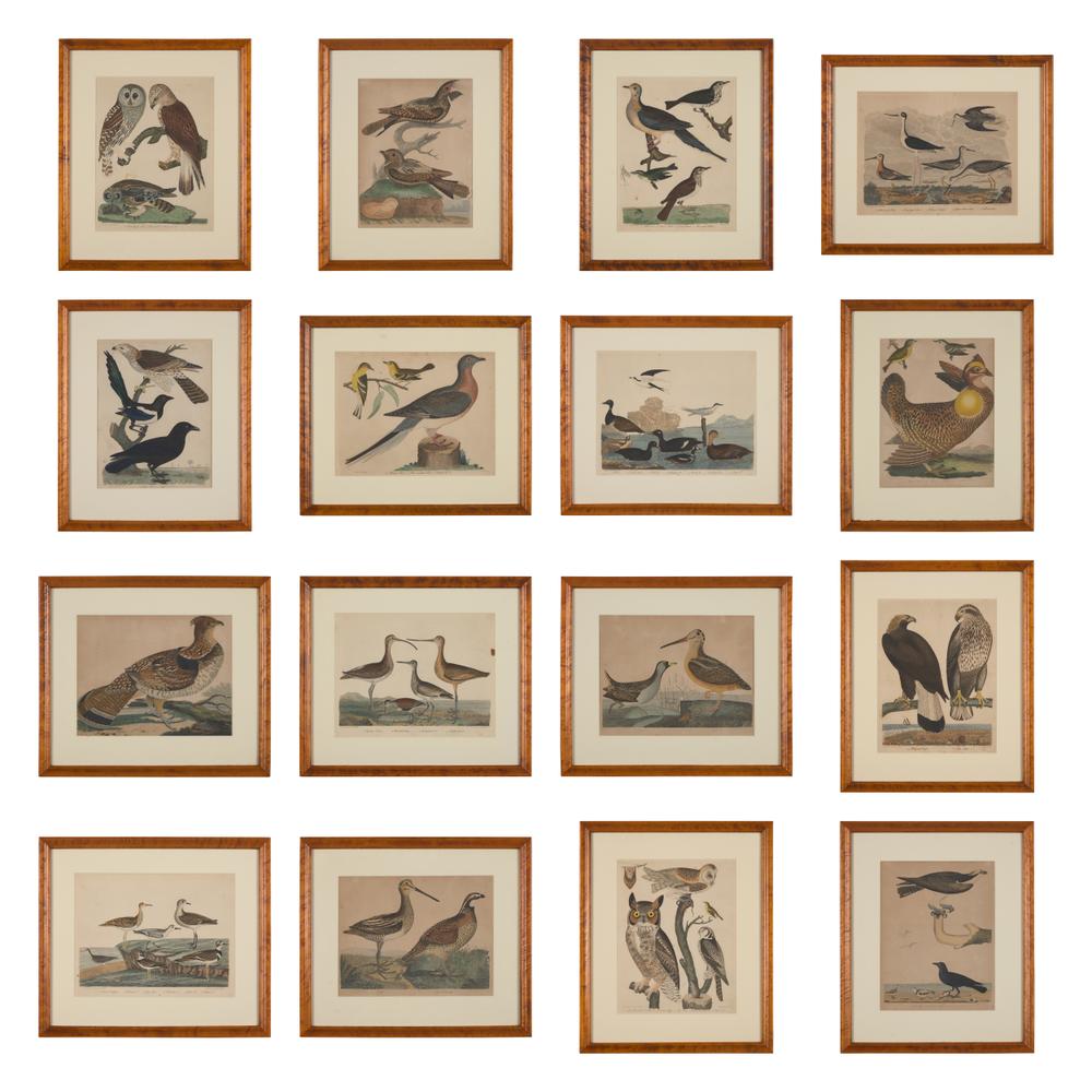 Alexander Lawson (1773-1846) and John G. Warnicke (died 1818), After Alexander Wilson (1766-1813), A Set of Sixteen Hand-Colored Engravings of Various Birds