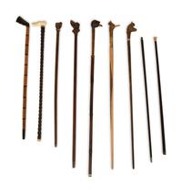 A Group of Canes and Walking Sticks
