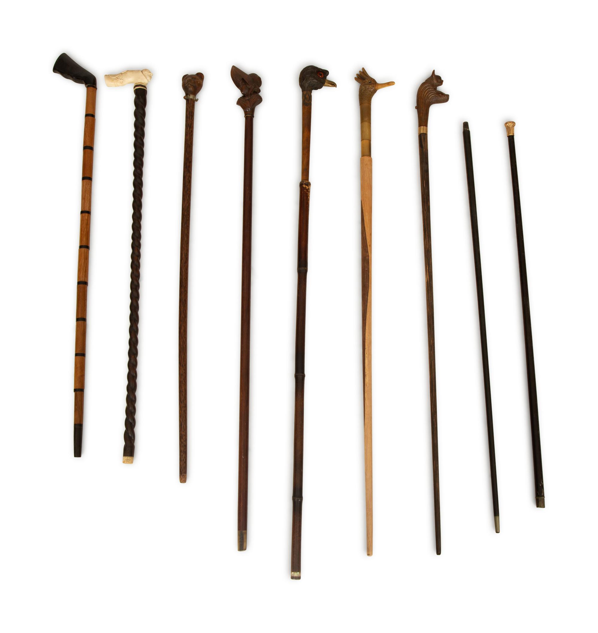 A Group of Canes and Walking Sticks