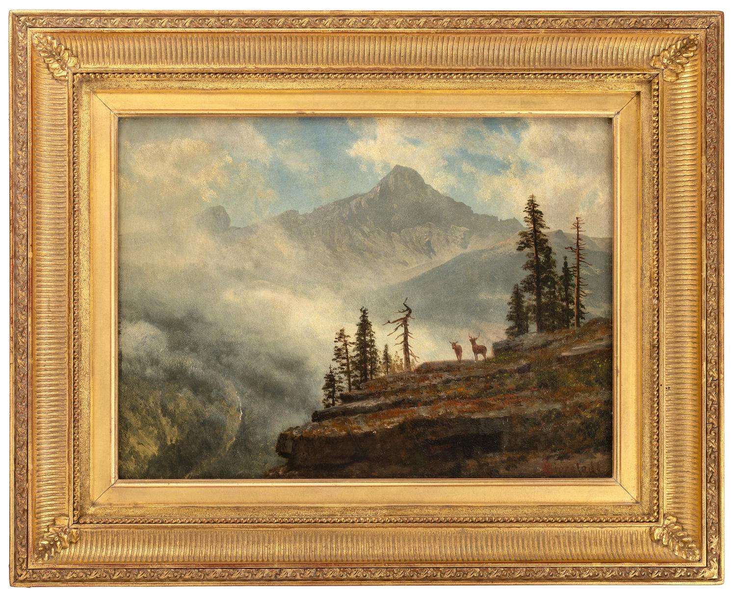 California Mountain Crag