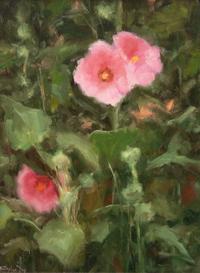 Hollyhocks