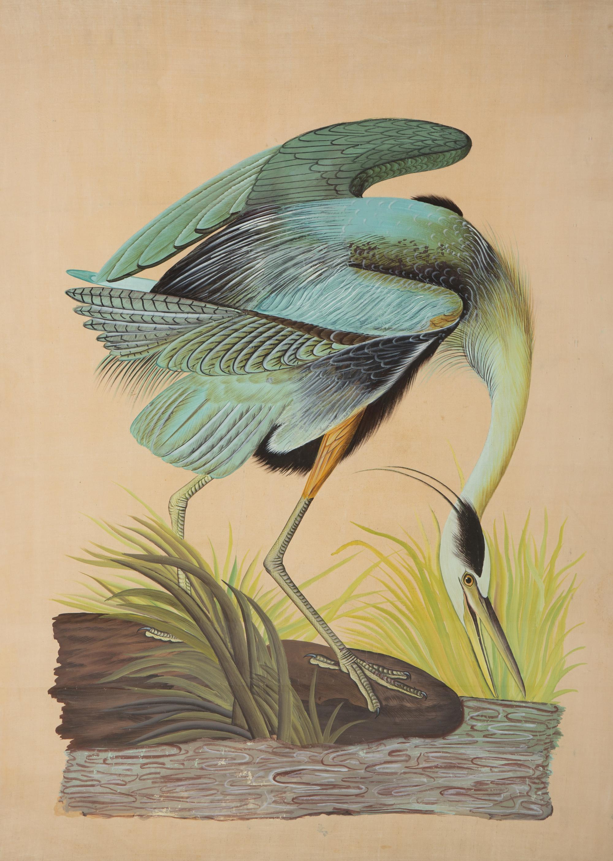 Two Chinese Paintings of Exotic Birds in Floating Glass Frames
