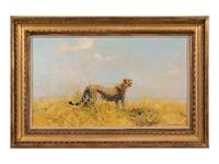 A Cheetah with Kill
