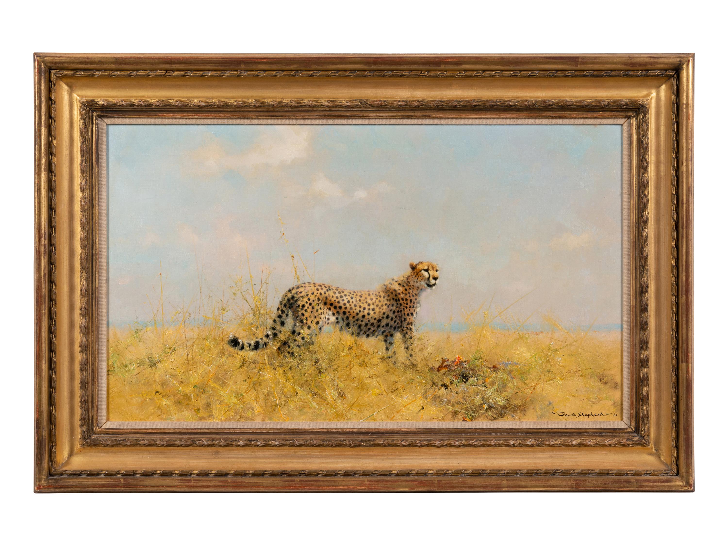 A Cheetah with Kill