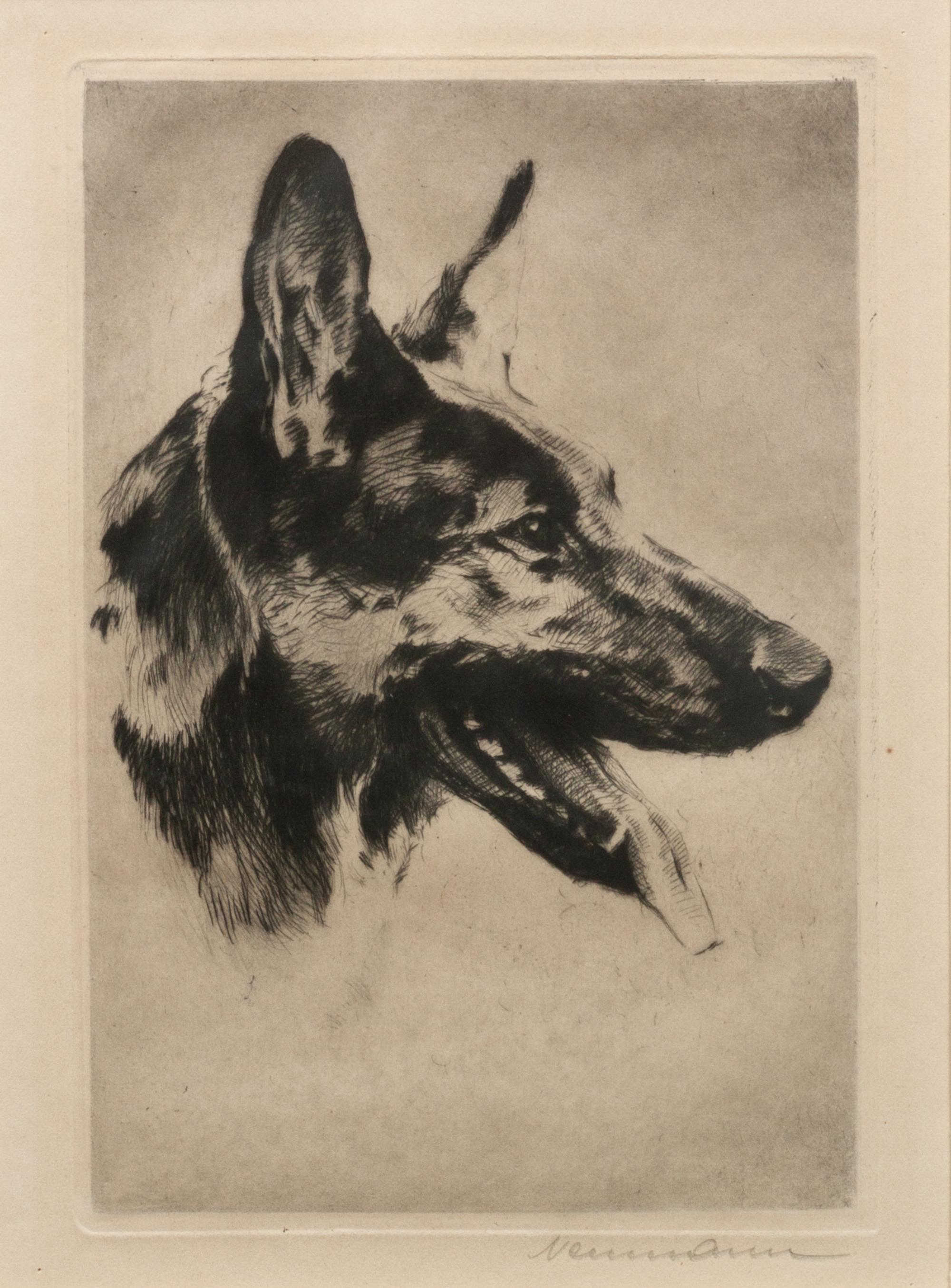Five Works of Art depicting German Shepherds Largest: 22 x 27 3/4 inches.