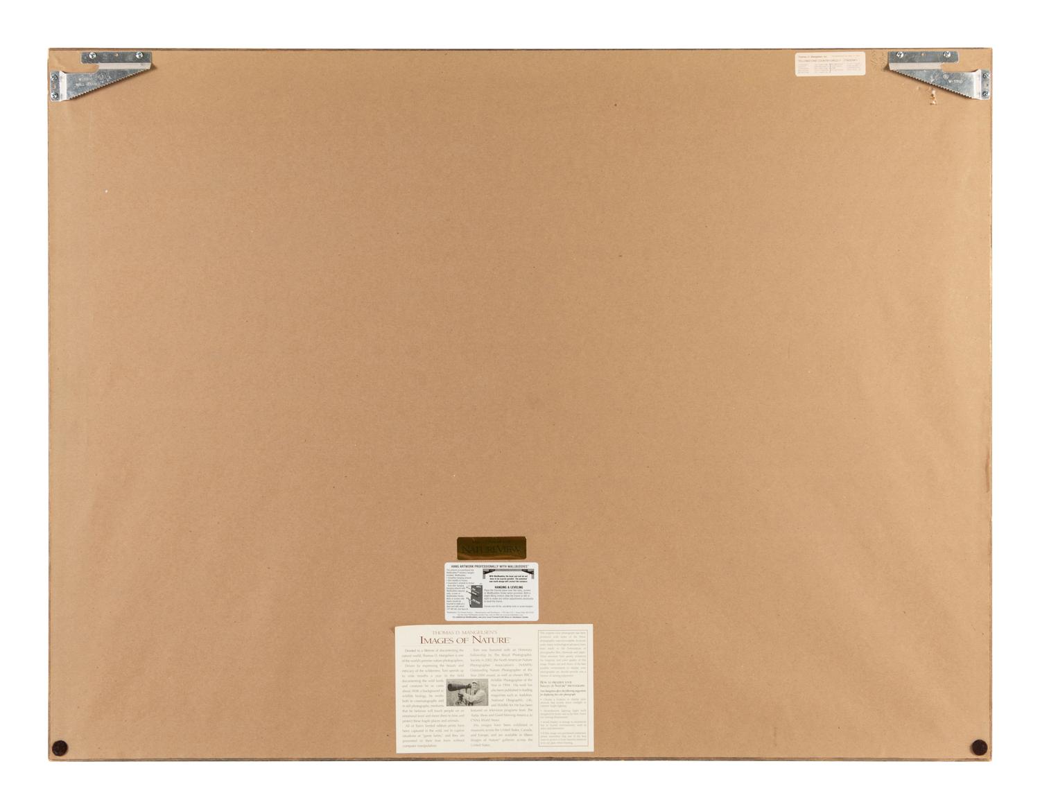 Yellowstone Country Grizzly , edition 79/1500