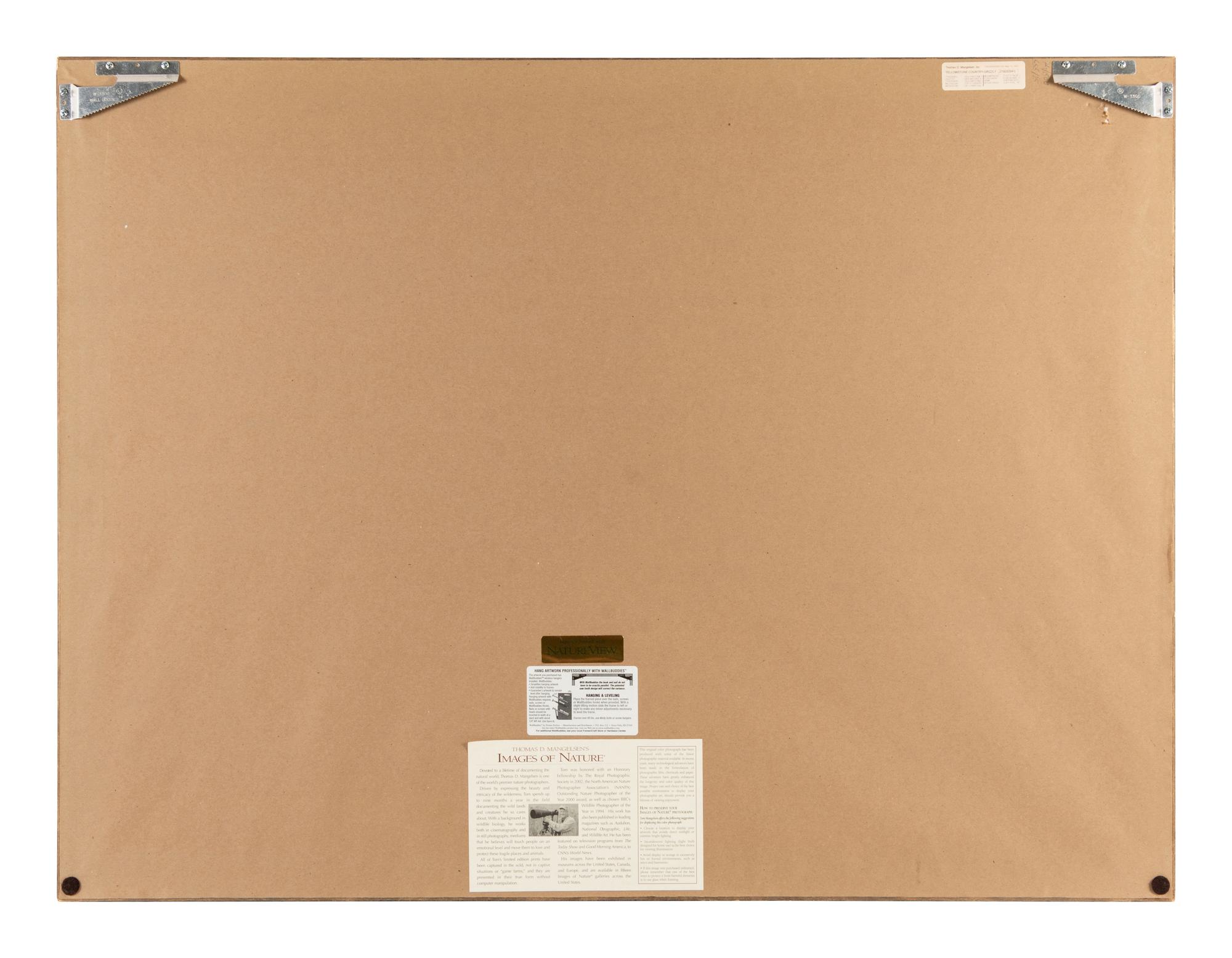Yellowstone Country Grizzly , edition 79/1500