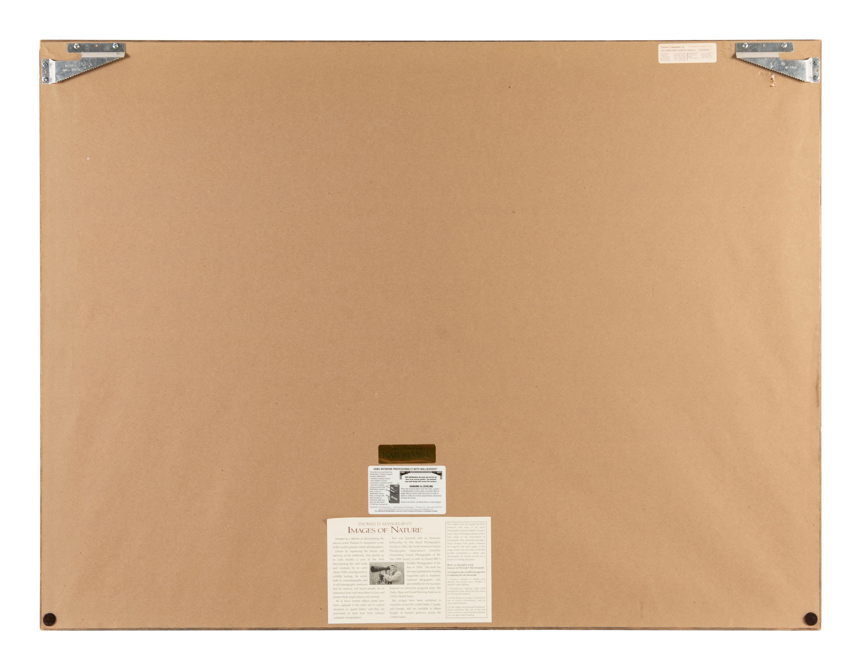 Yellowstone Country Grizzly , edition 79/1500