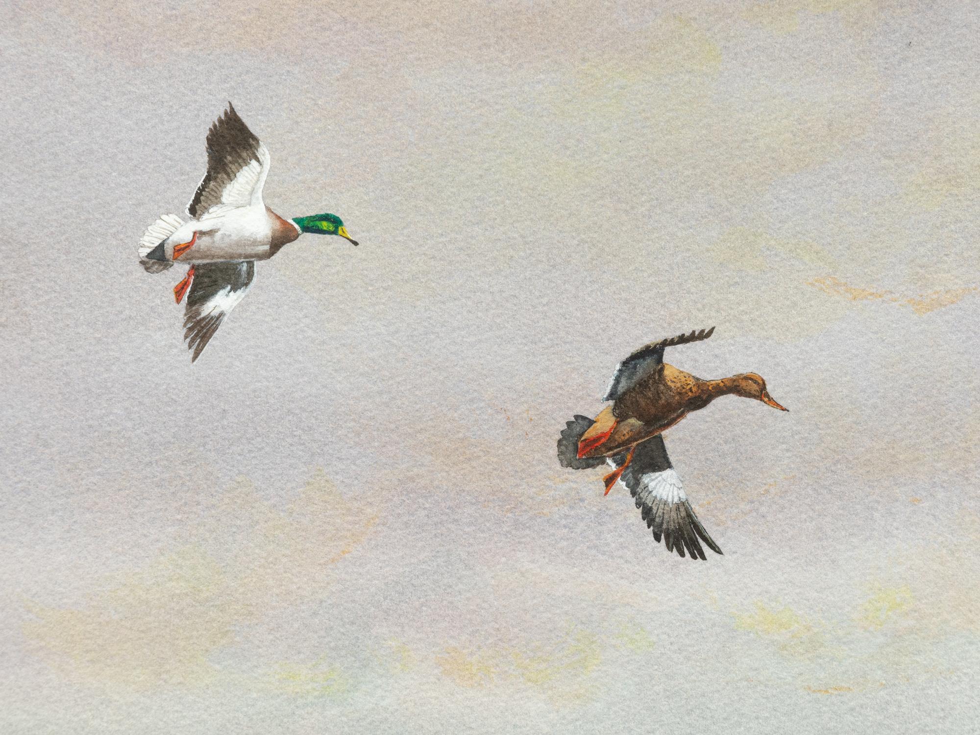 Delta Country Ducks