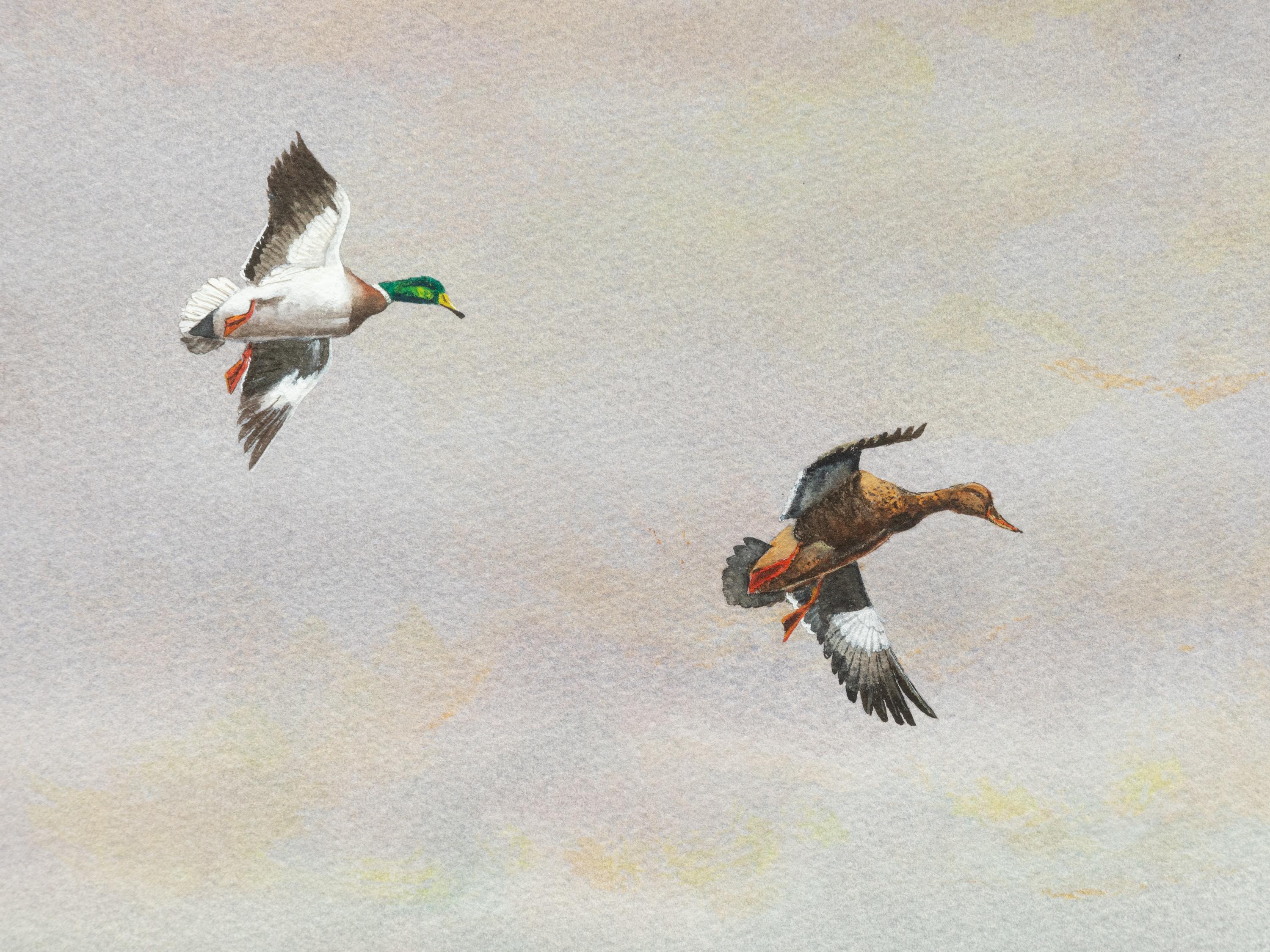 Delta Country Ducks