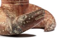 A Colima Effigy Vessel