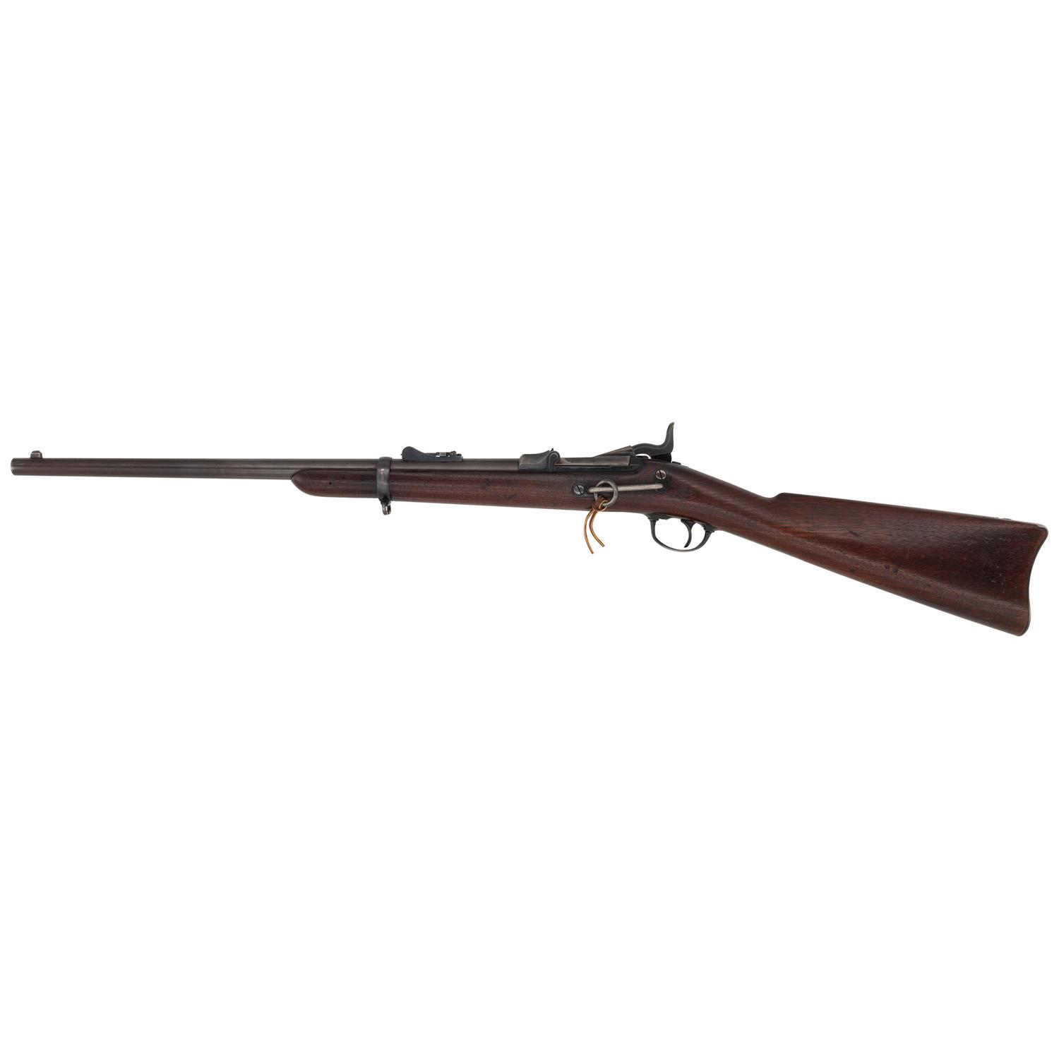 Springfield Model 1877 Carbine