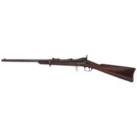 Springfield Model 1877 Carbine